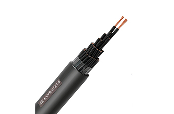 Unscreened Unarmored Control Cable