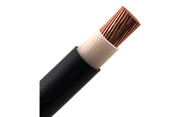 0.6/1kV XLPE Insulation Unarmored Power Cable